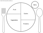 Food Pyramid Worksheet